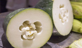 冬瓜视频,揭秘健康生活的绿色秘籍